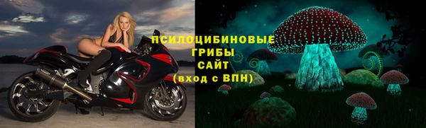 бошки Алексин