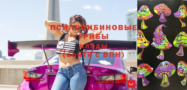 СК Алзамай