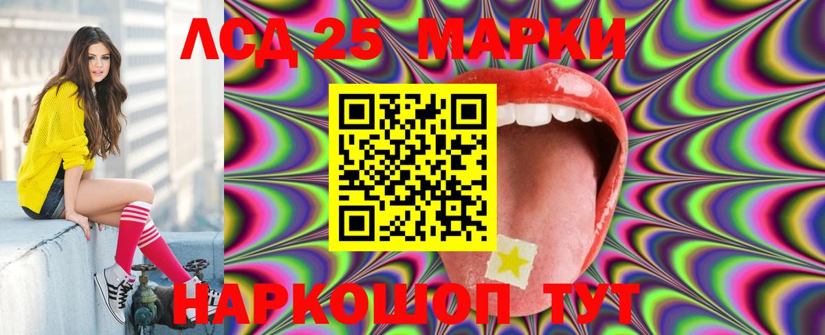 кракен вход  Вход с VPN  LSD-25 экстази кислота  Нефтекумск  LSD-25 экстази кислота 