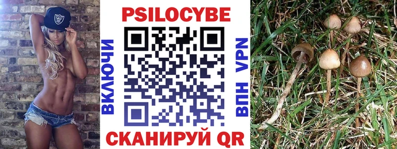 сайты даркнета состав  где купить   Нефтекумск  Галлюциногенные грибы мицелий 