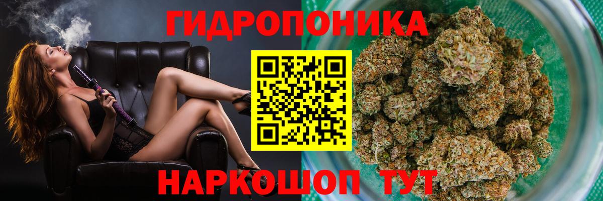 Бошки Шишки план Нефтекумск